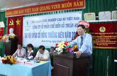 Gỗ Thuận An chia cổ tức 11%